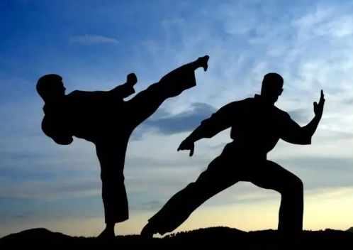 中国文武学校排名有哪些 把孩子送武校的利弊