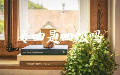 专四是四级吗 英语专业四级与大学英语四级的区别