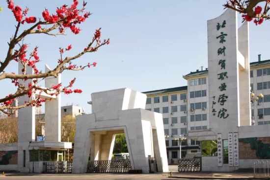 北京高职学校排名一览表 高职和大专的区别哪个更好