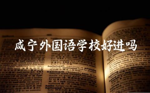 咸宁外国语学校好进吗 咸宁外国语学校是高中吗