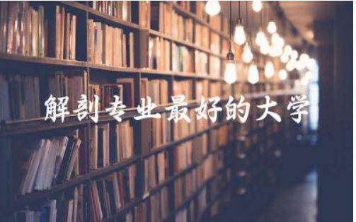 解剖专业最好的大学一览表本科 解剖学毕业后的就业方向