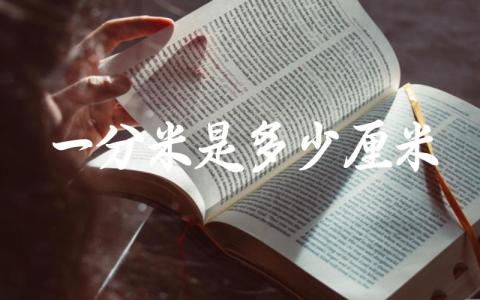 一分米是多少厘米 如何进行分米和厘米之间的换算