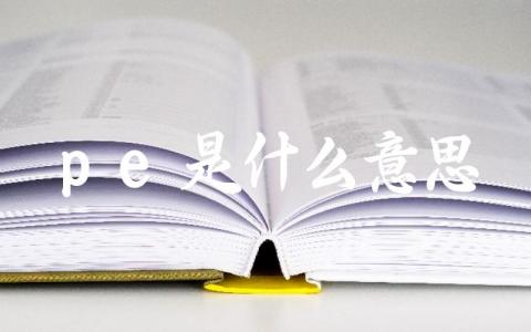 pe是什么意思 pe的主要用途和场景是什么