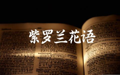 紫罗兰花语 紫罗兰花在哪些地方有