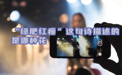 “绿肥红瘦”这句诗描述的是哪种花  该花有哪些文化寓意或象征