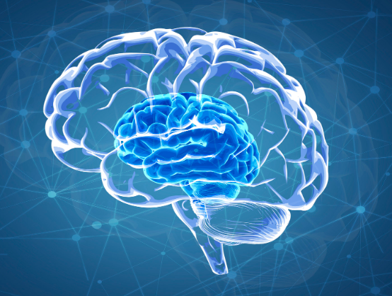 脑科学最强的大学专业 脑科学属于哪个专业