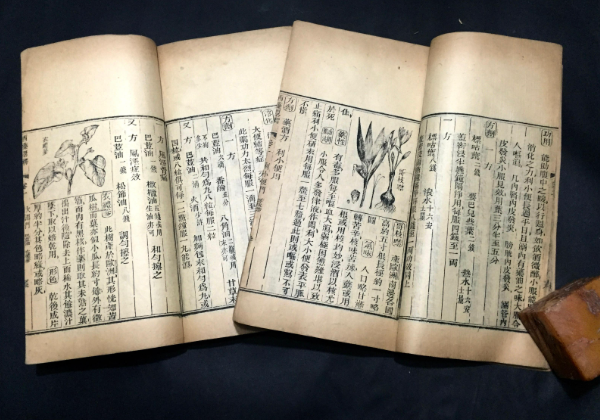 2024文字学考研学校排名 文字学学什么专业课程