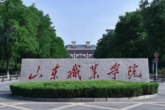 山东48所单招学校排名 2024山东职业学校录取线