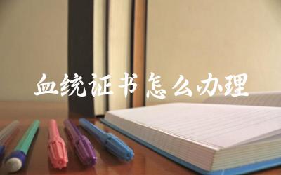 血统证书怎么办理 血统证书办理需要多长时间