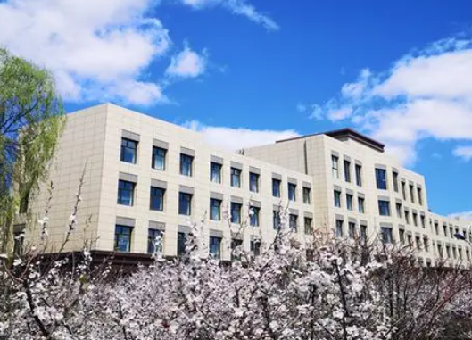 黑龙江幼师学校排名 幼师专业主要学什么课程