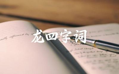龙四字词 这些四字词汇在表达上有什么特点