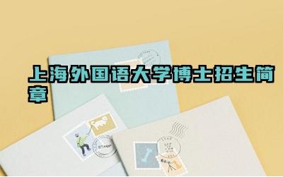 2024上海外国语大学博士招生简章 武汉理工大学mpacc的教学资源怎么样