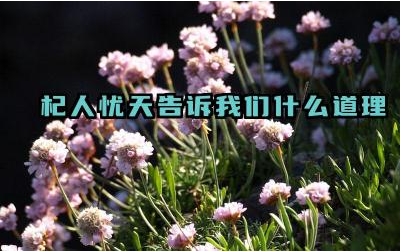 杞人忧天告诉我们什么道理 “杞人忧天”和“多虑”有什么区别