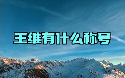 王维有什么称号 王维的诗有何特点