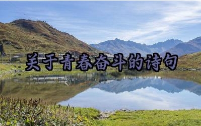 关于青春奋斗的诗句 《琵琶行》的小序有什么作用