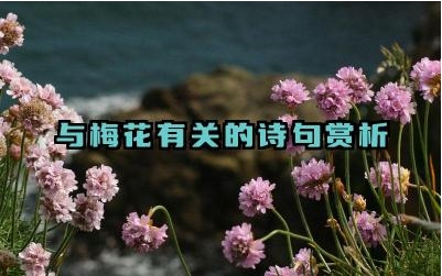 与梅花有关的诗句赏析 不同诗人笔下的梅花形象有何不同