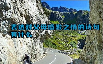 表达对父母感激之情的诗句有什么 感恩诗词中常用的表达方式有哪些