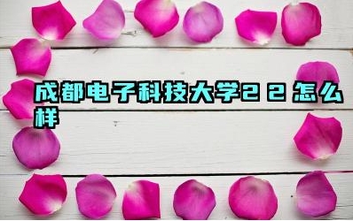 2024成都电子科技大学2+2怎么样 成都电子科技大学2+2项目的师资力量如何