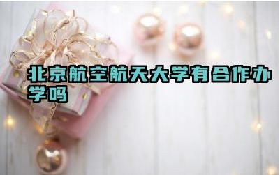 2024北京航空航天大学有合作办学吗 北京航空航天大学合作办学的项目有哪些