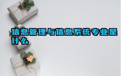 信息管理与信息系统专业是什么 信息管理与信息系统专业毕业生适合在哪些行业发展