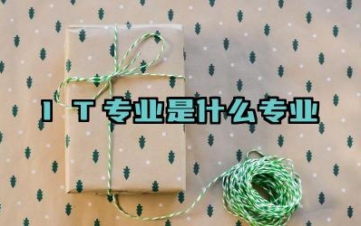 IT专业是什么专业 IT行业的发展前景如何