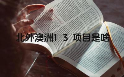 2024北外澳洲1+3项目是啥  北外澳大利亚3+1项目的就业前景如何