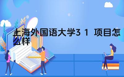 2024上海外国语大学3+1项目怎么样 上外3+1项目的优势是什么