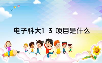 2024电子科大1+3项目是什么 电子科大1+3项目的优势是什么
