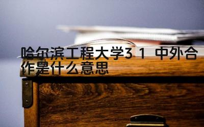2024哈尔滨工程大学3+1中外合作是什么意思 哈工大2+3项目的师资力量如何