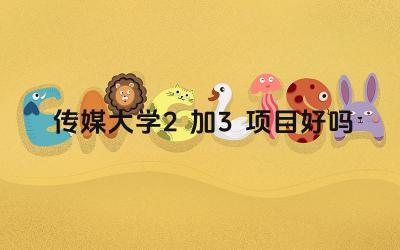 2024传媒大学2加3项目好吗 传媒大学2+3项目就业前景如何