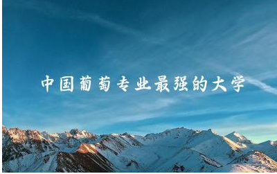 中国葡萄专业最强的大学是什么 葡萄酒专业就业前景好吗