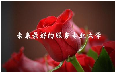 未来最好的服务专业大学 服务专业能参加职教高考吗
