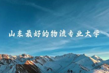 山东最好的物流专业大学推荐 物流专业就业前景2024