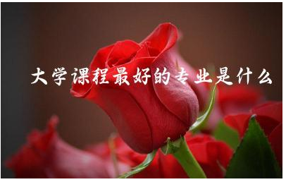 大学课程最好的专业是什么 大学的平均绩点需要达到多少