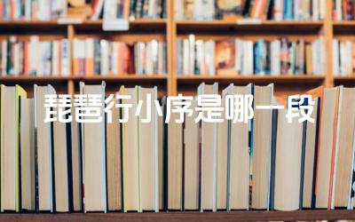 琵琶行小序是哪一段 这些诗词表达了作者怎样的情感