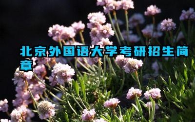北京外国语大学考研招生简章2025 北外2025年考研报考条件