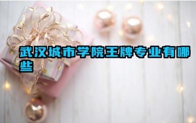 2024武汉城市学院王牌专业有哪些 武汉城市学院王牌专业的毕业生薪资水平
