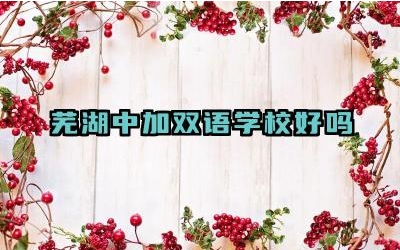 芜湖中加双语学校好吗 芜湖中加双语学校的教学特色是什么