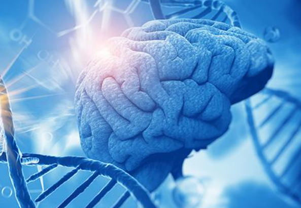 湖北最好的生物专业大学 张雪峰不推荐生物学原因