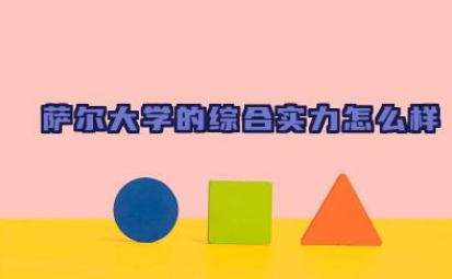 萨尔大学的综合实力怎么样 萨尔大学相当于国内什么大学