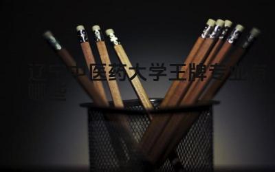 2024辽宁中医药大学王牌专业有哪些 辽宁中医药大学王牌专业的毕业生就业去向如何
