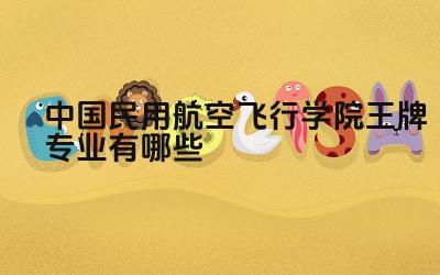 2024中国民用航空飞行学院王牌专业有哪些 中国民用航空飞行学院飞行技术专业的培养模式