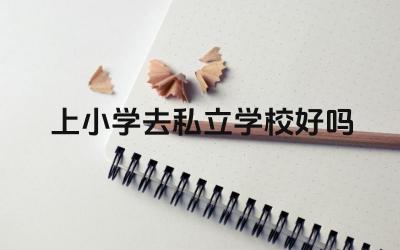 上小学去私立学校好吗 如何选择适合孩子的私立小学