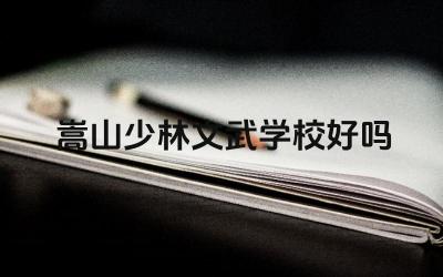 嵩山少林文武学校好吗 嵩山少林文武学校的发展方向怎么样