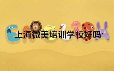 上海微美培训学校好吗 上海微美培训学校的毕业生就业情况如何