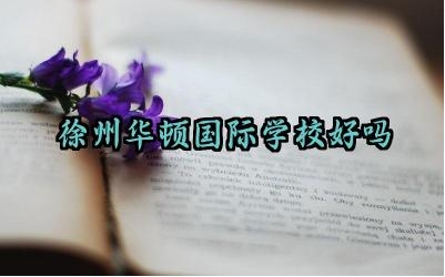 徐州华顿国际学校好吗 徐州华顿国际学校值得去吗现在
