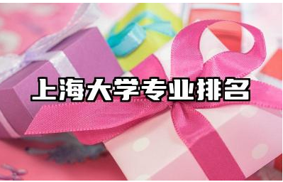2024上海大学专业排名情况 上海大学的就业前景好吗