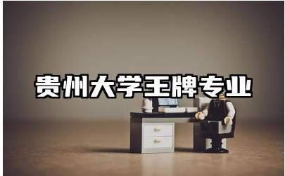 贵州大学王牌专业介绍 贵州大学未来发展趋势如何