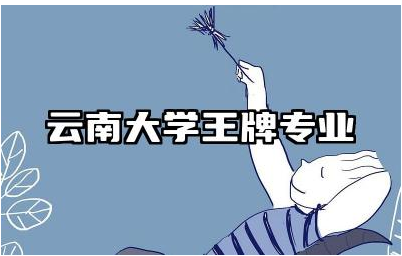 云南大学王牌专业有哪些 云南大学值得报考的专业排名
