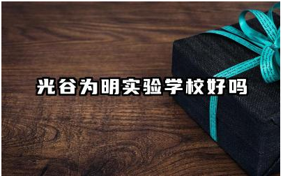 光谷为明实验学校好吗 武汉为明学校容易进吗